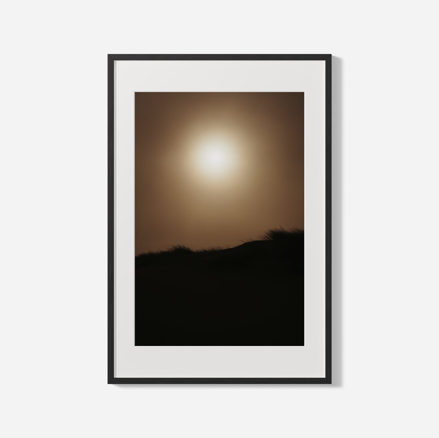 Desert Sun